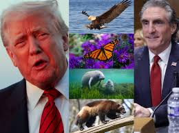 Occupy Democrats added a new photo.