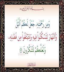 القصص ٧٣ calligraphy arabic calligraphy