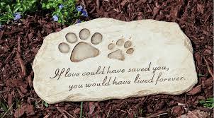 Browse all of our personalized memorials for dogs at petsmart. 15 Things You Need To Consider Before Choosing Dog Cremation