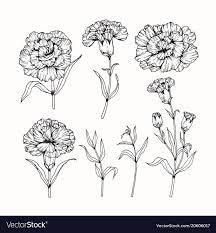Carnation Flower Tattoos Carnation Flower Tattoo Birth Flower Tattoos Carnation Tattoo