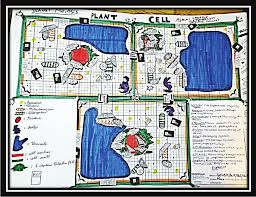 Maybe you would like to learn more about one of these? Student Generated Cell Model Cohen For Interactive Plant Cells Model Download Scientific Diagram
