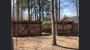 Pin By Caroline Authier On Cabanon In 2020 Tree Trunk Plants Tree