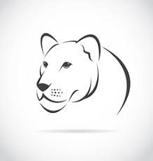 They do most of the hunting because they have to feed the cubs too. Female Lion Vector Images Over 810