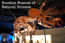 Houston Museum Of Natural Science Houston Tx R We There Yet Mom