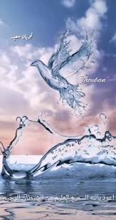 Water Bird Animation Follow Me Video 2020 Mekke Duanin Gucu