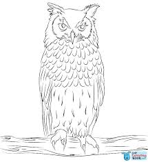 Bengalese Eagle Owl Coloring Page Free Printable Coloring Pages Intended For Free Printable Bengalese Eagle Bird Coloring Pages Owl Images Owl Coloring Pages