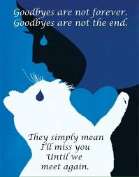 Poems about losing a different animal Cat Sympathy Poems