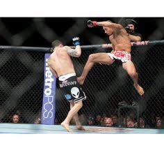 Name value net change % change 1 month 1 year time (edt) nky:ind. Jose Aldo Net Worth