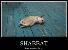 Shabbat Shalom Memes