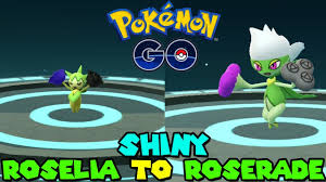 Roselia was once ubiquitous but useless, but its evolution justifies the hassle catching them. Evolving Shiny Roselia To Shiny Roserade In Pokemon Go Youtube