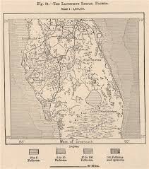 The Lacustrine Region Florida Everglades 1885 Old Antique Map Plan Chart