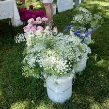 Maybe you would like to learn more about one of these? White Dog Inn 6 Tips