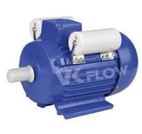 Cast Iron Housing Motors