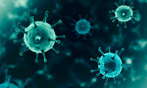 Worldcoronavirus monitor live coronavirus news and statistics with tracking, updates, symptoms and latest information on the latest covid19 deaths, cases and recoveries. Bfarm Antigen Tests Auf Sars Cov 2