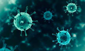 Coronaviruses are a group of related rna viruses that cause diseases in mammals and birds. Bfarm Antigen Tests Auf Sars Cov 2