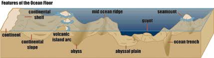 Ocean Facts Ocean Projects Homeschool Science Science Lessons