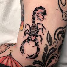 Check spelling or type a new query. Scorpion Tattoos All Things Tattoo