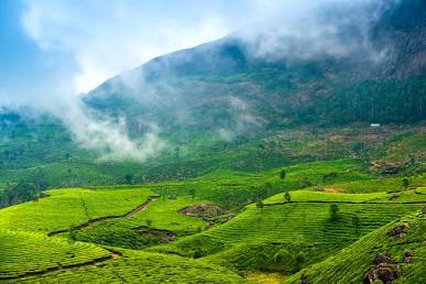 The Western Ghats in full monsoon bloom, AI generated