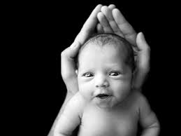 Image result for Newborn Photography