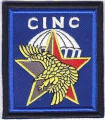 France Navy Combat Diver Training Center Marine Francaise Centre D Instruction N Military Patch Insignia Militaria