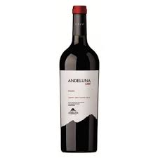 Andeluna Malbec 1300 Botellas Malbec Botellas De Vino