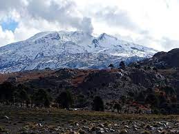 We did not find results for: Volcan Copahue En Alerta Amarilla