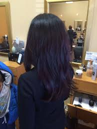 Ginger and faded violet highlights on black hair. Dark Purple Hair I Would Love For My Hair To Turn Out This Colour Quite Subtle But It Would Be A Nice Result Co Dark Purple Hair Violet Hair Colors Plum