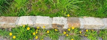 Maybe you would like to learn more about one of these? How To Make Best Natural Weed Killer Everyday Cheapskate
