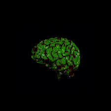 Every image can be downloaded in nearly every resolution to ensure it will work with your. Download Wallpaper 3000x3000 Brain Microchip Circuits Artificial Intelligence Hd Background