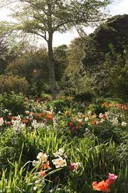 Earlier this year, Nick Bailey...