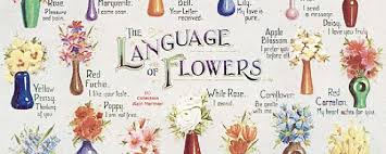 Encouraged by her aunt, writer and painter marie von olfers, sibylle studied at art college in berlin. The Meaningful Language Of Flowers Florists Review