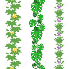 43,000+ vectors, stock photos & psd files. Set Of Jungle Leaves Seamless Borders Tropical Summer Foliage Pattern Rainforest Botanical Concept Vector Illustration Cartoon Style Royalty Free Cliparts Vectors And Stock Illustration Image 127194093
