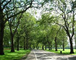 Hyde park is one of those, it is a place to sit, relax, but over the years, it has hosted a number of special events. Hyde Park A Popular London England Tourist Destination