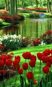 This free wallpaper gallery features bird, flower, wildlife, landscape, reptile, scenic, insect and sunset pictures. 220 Beautiful Scenes Flowers Trees Nature Ideas Nature Beautiful Flowers