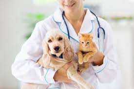1.6k likes · 78 talking about this · 2,605 were here. Bc Vet Clinic Bcrossvetclinic Twitter