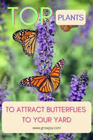 Top Plants To Attract Butterflies In 2021 Plants That Attract Butterflies Plants Butterfly Garden