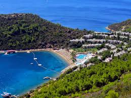 От 21.08.2021 г до 23.10.2021г. Royaltravelbatumi Com Turciya Bodrum