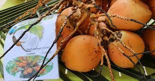 Aber jede landschaft und jedes bundesland in deutschland geht man gern zum essen aus, allerdings nicht so oft, wie dies in anderen ländern der fall ist. Preise Seychellen Warum Sind Die Seychellen So Teuer Seychellen Urlaub