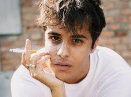 What illness did michele merlo di amici have?. P Nyxefqravxdm