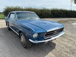 Image result for Live Oak 1967 AC Cars