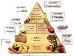 healthy eating plan for healthy life healthy o healthy