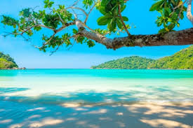All of these beach background images and vectors have high resolution and can be used as banners, posters or. Summer Beach Beaches Nature Background Wallpapers On Desktop Nexus Image 2413496