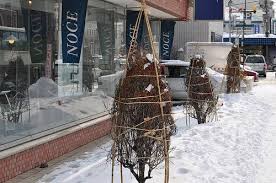How to protect your plants in winter. Protecting Your Plants During Cold Months Avas Flowers