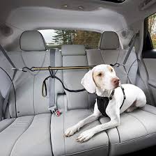 The way he screams it's like he was just run over by a car, and i realize it's because he wants attention from everyone. Hundegurt Auto Sicherheitsgurt Hunde Anschnallgurt Hund Auto Hundegurt Furs Auto Verstellbare Lange Hundeleine Autositze Fur Hunde Hund Auto