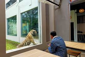 The national zoo of malaysia. Melipir Ke Lembang Park Zoo Yang Instagramable Halaman All Kompas Com