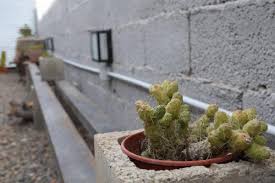 Descubre el automóvil ideal para las vacaciones de tus sueños. Cactus In Comodoro Rivadavia Argentina Reviews Prices Planet Of Hotels