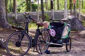 Fahrradanhanger Test 2020 Welcher Ist Der Beste Allesbeste In 2020 Fahrradanhanger Fahrrad Kinderfahrrad