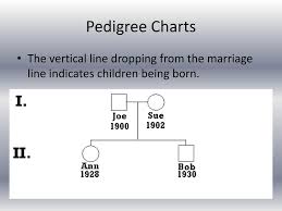 Biology Genetics Unit Ppt Download