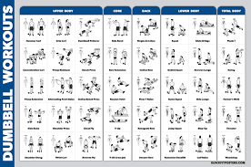 dumbbell workout exercise poster