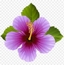 On this page, you can find a png clipart associated with the tags: Watercolor Floral Wreath Clipart Floral Clip Art Purple Flowers Clipart Png Image With Transparent Background Toppng
